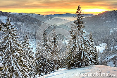 Winter landscape Stock Photo