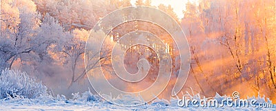 Winter landscape. Beautiful Christmas morning outdoors. Winter forest with bright sunshine and sunbeams. Panorama of frosty winter Stock Photo