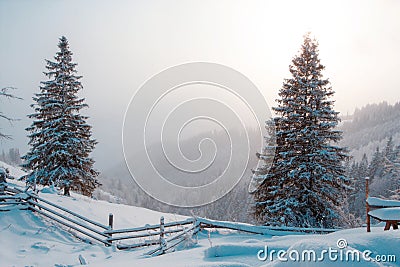 scenic winter landscape, picturesque morning nature view in mountains, Carpathians, Ukraine, Europe Stock Photo