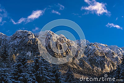 winter landscape with Carpati Piatra Craiului mountain Stock Photo