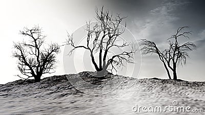 Winter Landscape With Dead Trees Stock Photo