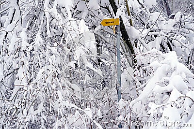 Winter landscape in detail, tree branches thickly covered with snow and yellow signposts with inscription hiking trail German lang Stock Photo