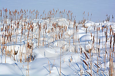 Winter landscape distaff after a freezing Rain Stock Photo