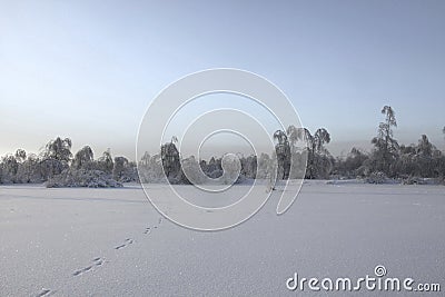 Winter landscape on a field with snowbound trees Stock Photo