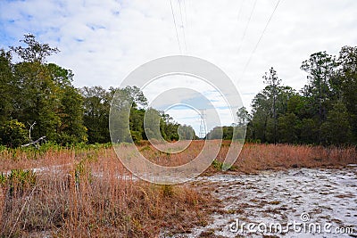 The winter landscape of Florida Trail Stock Photo