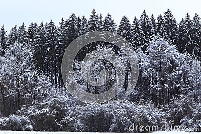 Winter Landscape Stock Photo