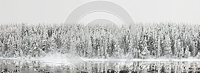 Winter landscape. Forest panorama with reflection in the river Stock Photo