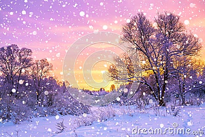 Winter landscape with forest, trees and sunrise Stock Photo