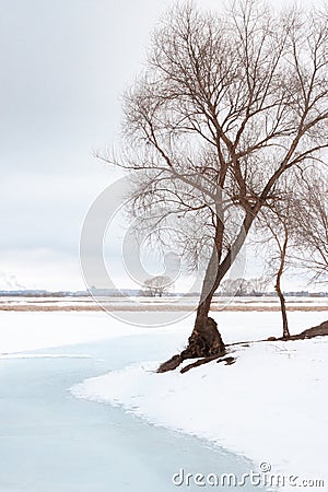 A winter landscape of a frozen river going to the pespective far away. Leafless trees are on the sides of the frame and in the Stock Photo