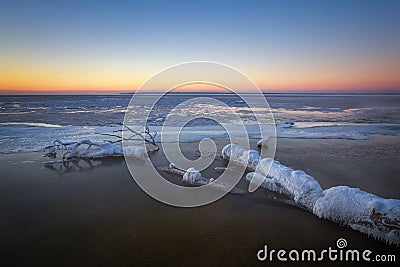 Winter landscape with frozen snags. Stock Photo