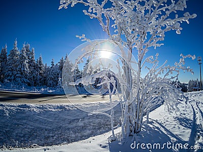 Winter landscape in Germany image Stock Photo