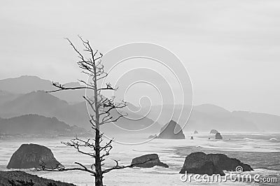 Winter Landscape on Misty Rocky Coast Stock Photo