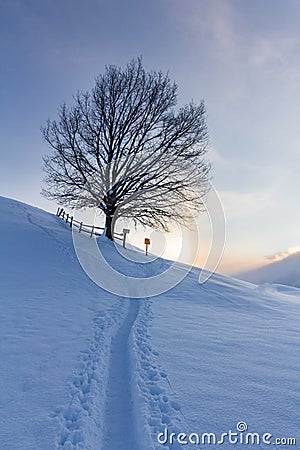 Snowy winter landscape in the alps, sunrise with halo phenomena Stock Photo