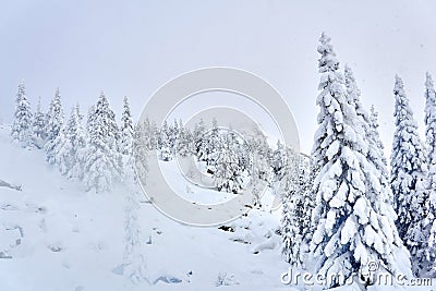 Winter landscape - mountain pass with snowy trees and rocks visible from under the snow Stock Photo