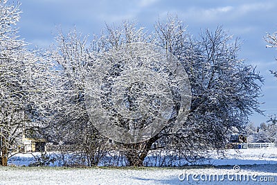 Winter landscape in Munich Allach with white tree Stock Photo