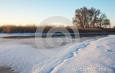 Winter landscape with river, reeds and trees. Stock Photo
