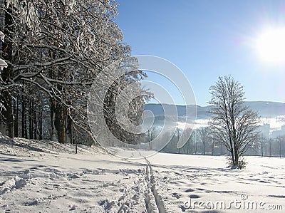 Winter landscape with road forest and blue sky. Wintry path. Frosty sunny day. Snowy winterly landscape. Stock Photo