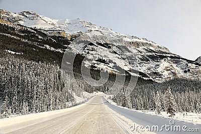 Winter Landscape, Rocky Mountains, Alberta, Canada Stock Photo
