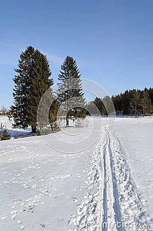 Winter landscape with ski track Stock Photo