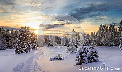 Winter landscape with ski tracks in the snow. Stock Photo