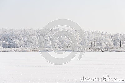 Winter landscape with snow Stock Photo