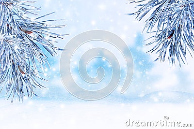 Winter landscape with snow. Christmas background with fir branch Stock Photo