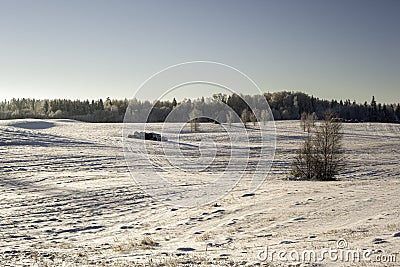 Winter landscape. Snow-covered fields Stock Photo