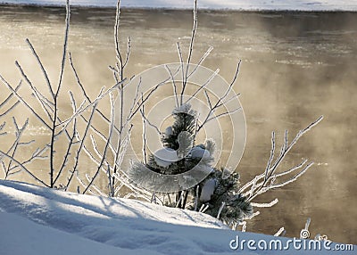 Winter landscape, snow-covered land, trees and fields, frosted small pine silhouette on the river bank, winter time Stock Photo