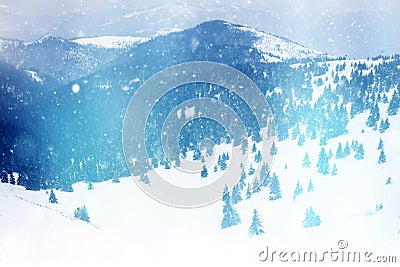 Winter landscape with snow covered trees Stock Photo