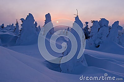 Winter landscape of snow ghosts - Harghita madaras Stock Photo