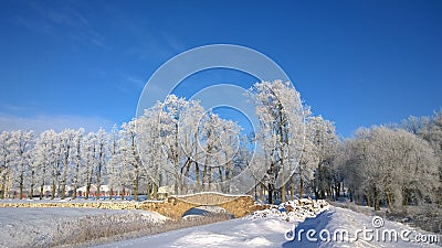 Snowfall. Winter landscape. Stock Photo