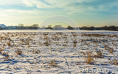 Sunny winter landscape with snowy field, trees and blue sky clouds Stock Photo