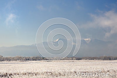 Winter landscape with snowy mountains behind field covered with frozen dry grass under dark blue sky during sunrise Stock Photo