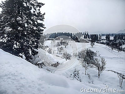 Winter Landscape With Snowy texture Stock Photo