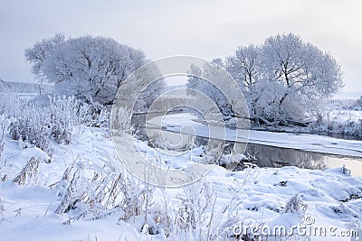 Winter landscape. Snowy trees on riverside. Cold frost weather. Hoarfrost on tree branches. Frosty nature background. Christmas Stock Photo