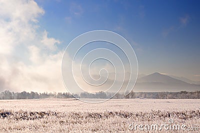 Winter landscape with spectacular heavy fog above bare trees behind field covered with frozen dry grass during sunrise Stock Photo