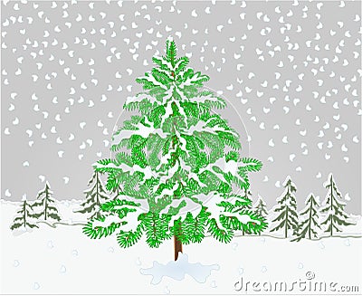 Winter landscape Spruce tree with snow christmas theme natural background vintage vector illustration editable Vector Illustration