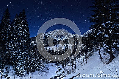 Winter landscape in a starry night Stock Photo