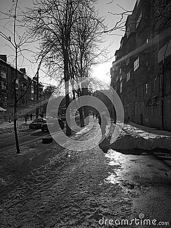 Winter landscape, sun, snow, urban landscape. Black and white photography. Editorial Stock Photo