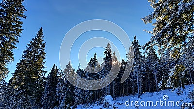 Winter landscape Stock Photo