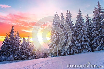 Winter landscape on a sunset. Bulgaria Stock Photo
