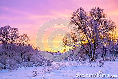 Winter landscape with sunset and the forest Stock Photo