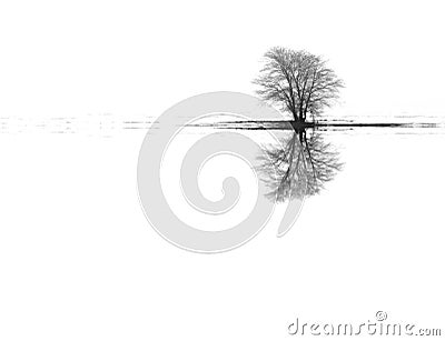 Winter landscape tree reflections Stock Photo