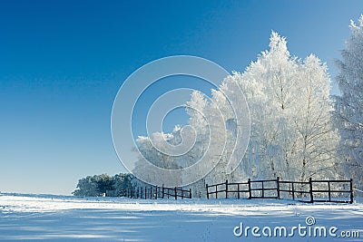 Winter landscape and trees Stock Photo