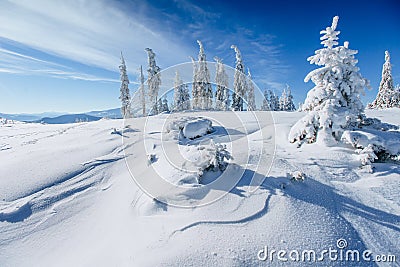 Winter landscape trees snowbound Stock Photo