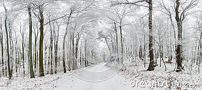 Winter landscape. Winter road and trees covered with snow Stock Photo