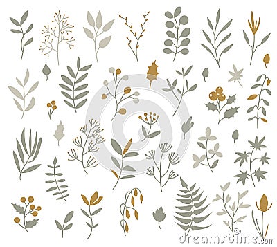 Winter leaves, big collection Vector Illustration