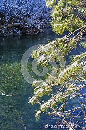Winter Leaves Snow Ice Wenatchee River Valley Leavenworth Washi Stock Photo