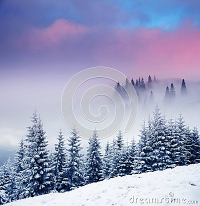 Winter Stock Photo