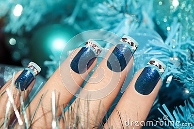 Winter manicure. Stock Photo